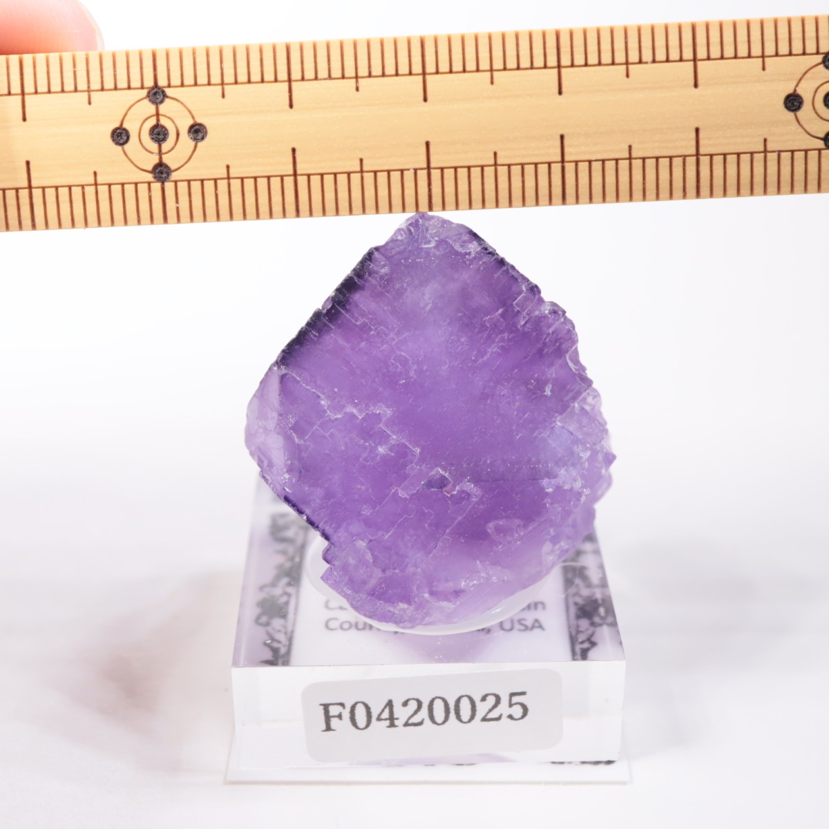 ����Υ��� �ե����饤��