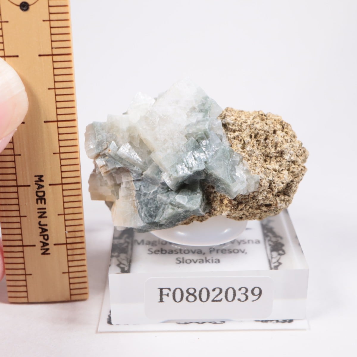 �����Х����� ����Х����ȡ�ɩʨ�С�