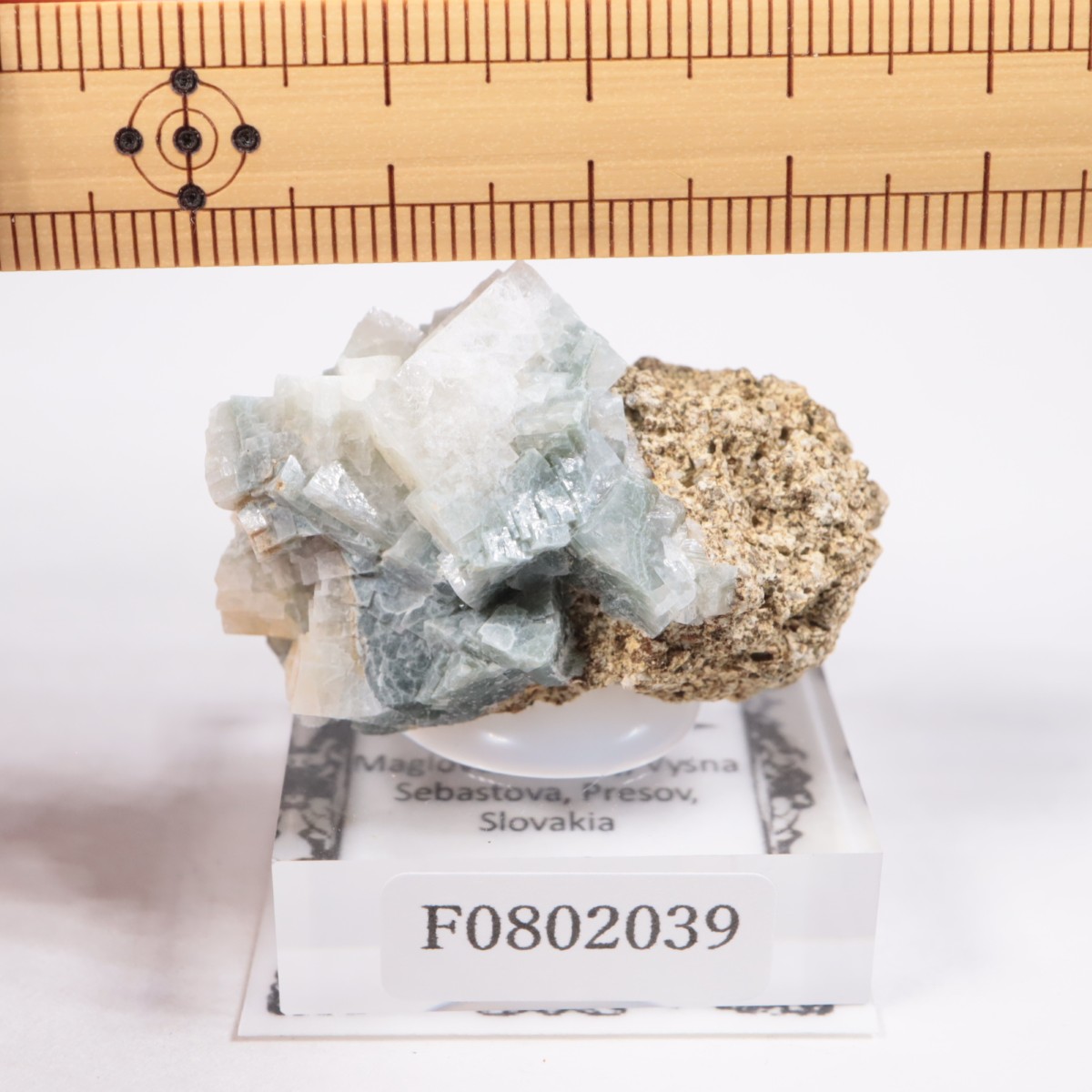 �����Х����� ����Х����ȡ�ɩʨ�С�