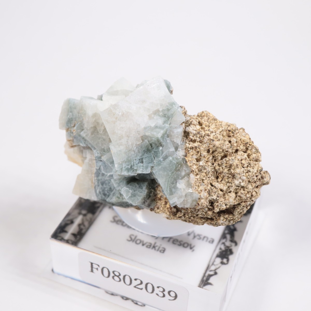 �����Х����� ����Х����ȡ�ɩʨ�С�