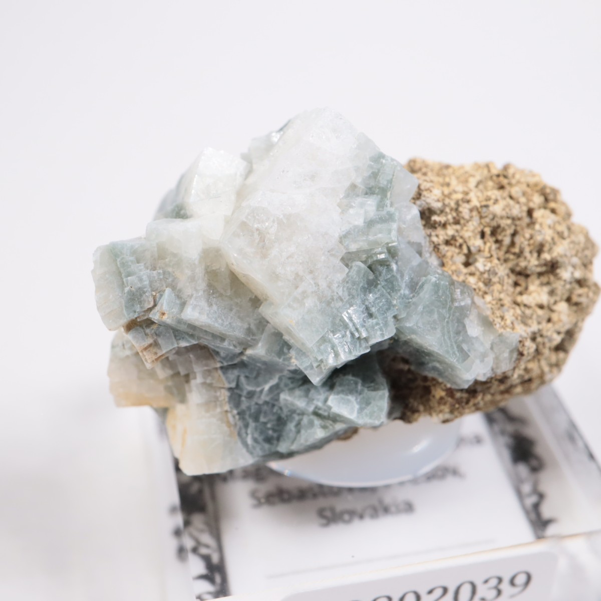 �����Х����� ����Х����ȡ�ɩʨ�С�