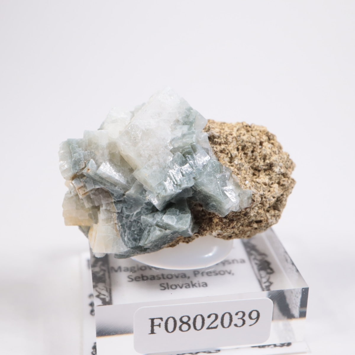 �����Х����� ����Х����ȡ�ɩʨ�С�