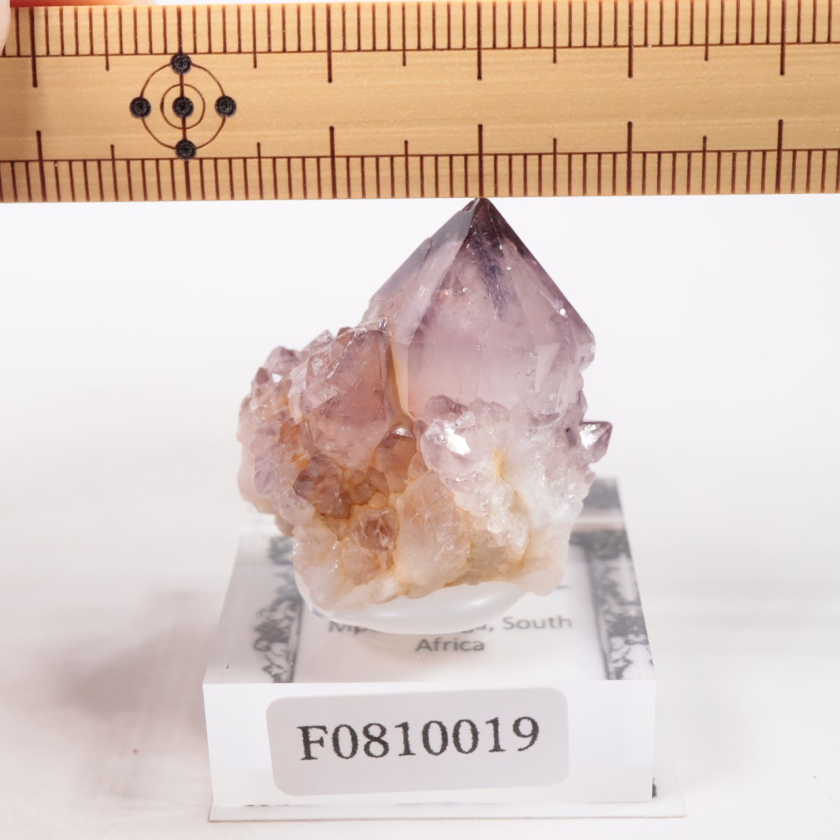 ��եꥫ�� ����������������