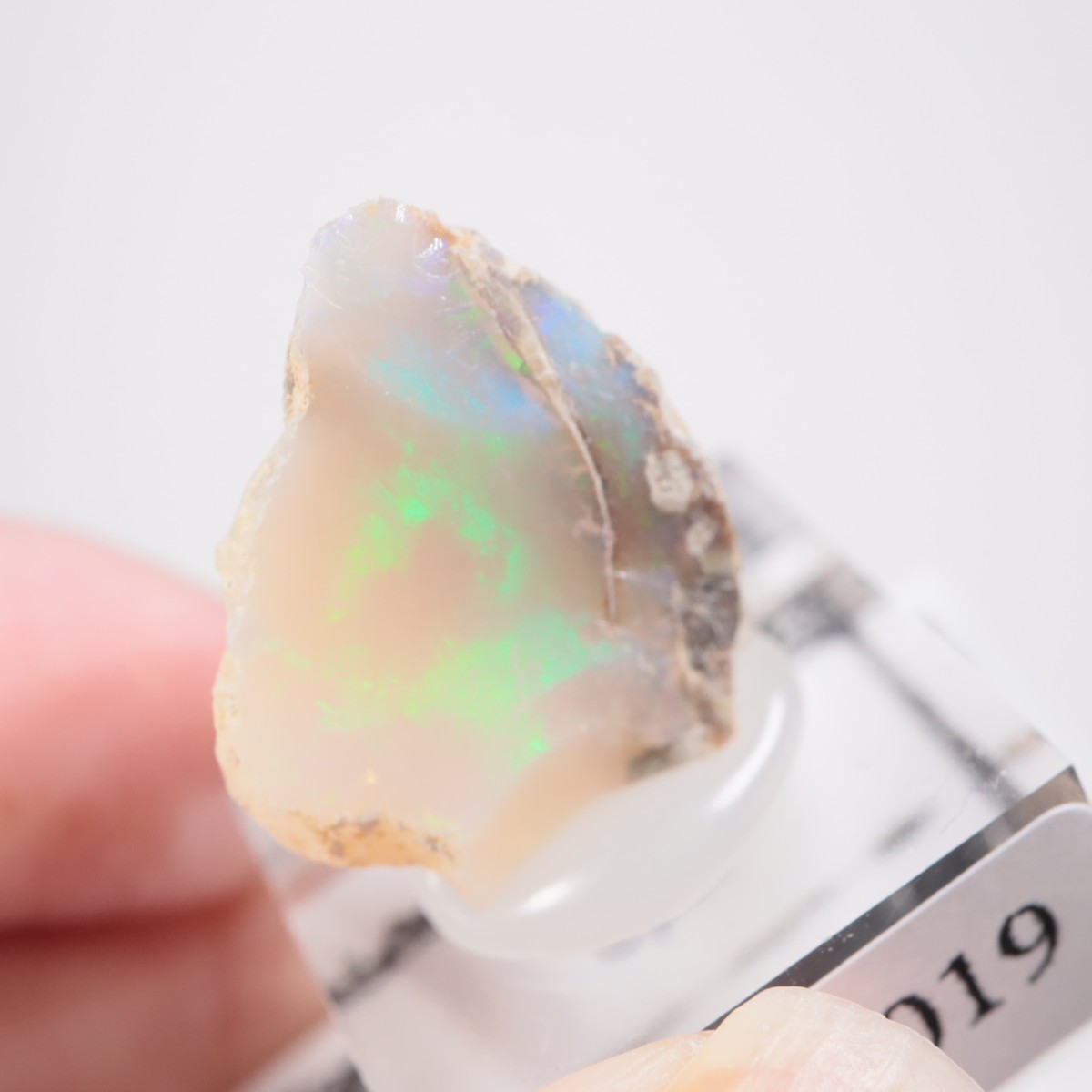 �������ԥ��� ���ѡ���