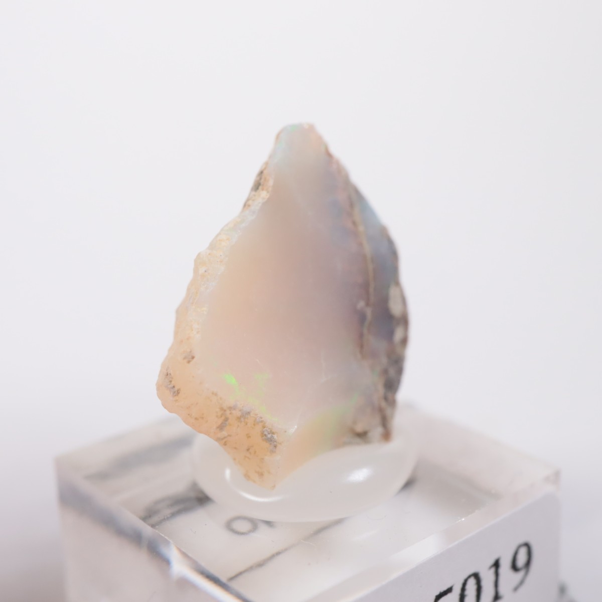 �������ԥ��� ���ѡ���