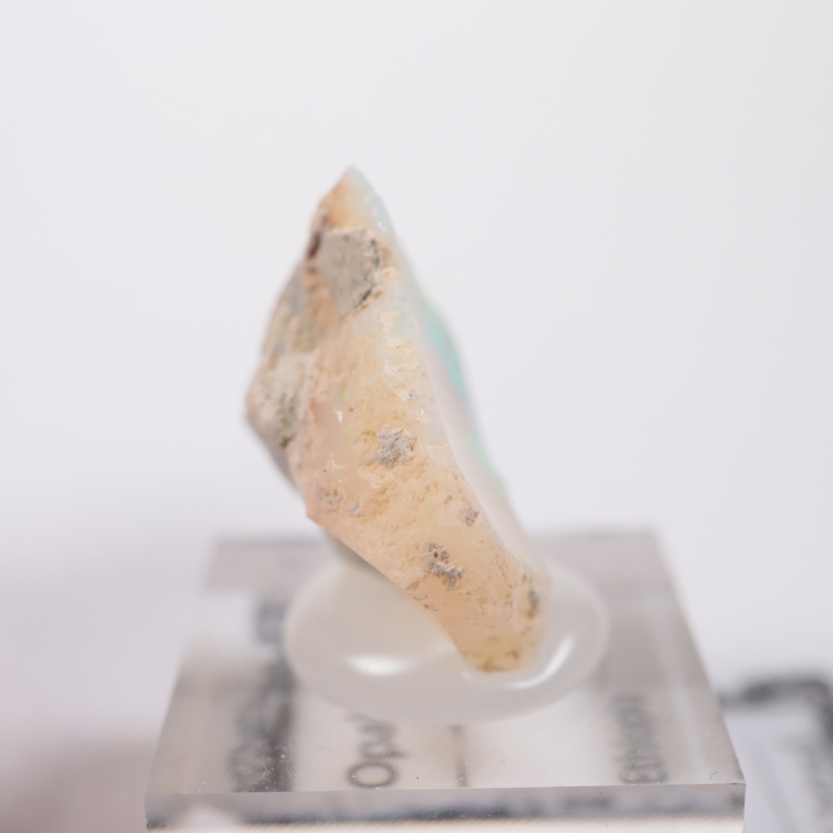 �������ԥ��� ���ѡ���