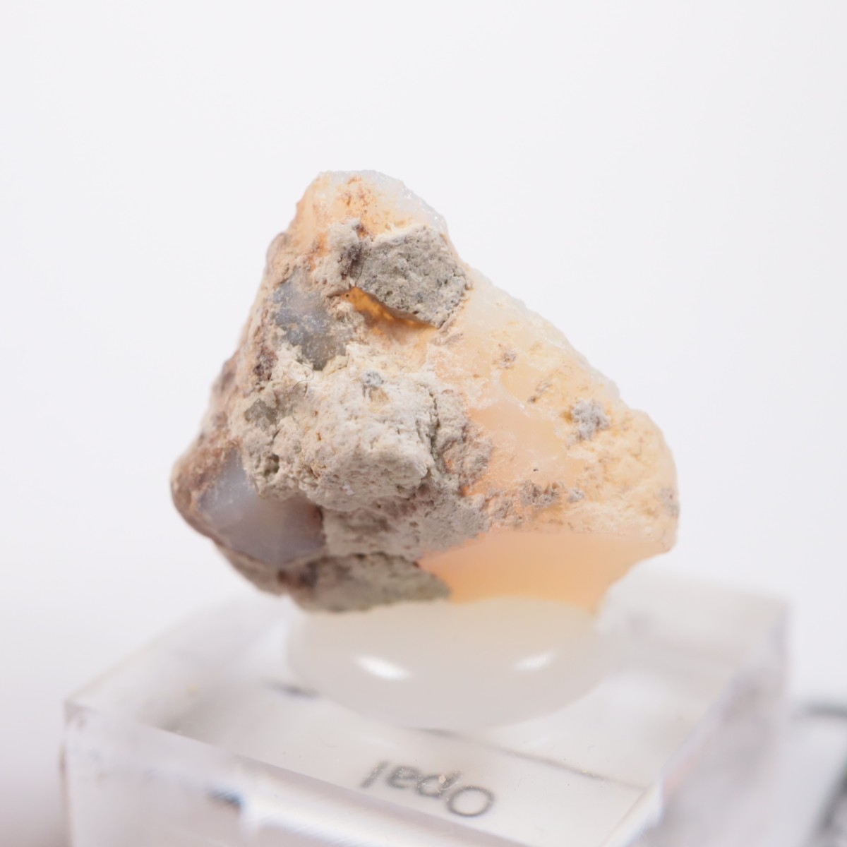 �������ԥ��� ���ѡ���