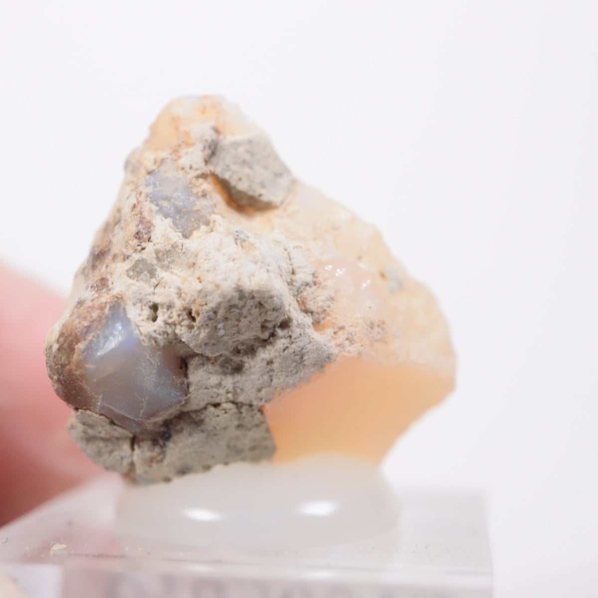 �������ԥ��� ���ѡ���