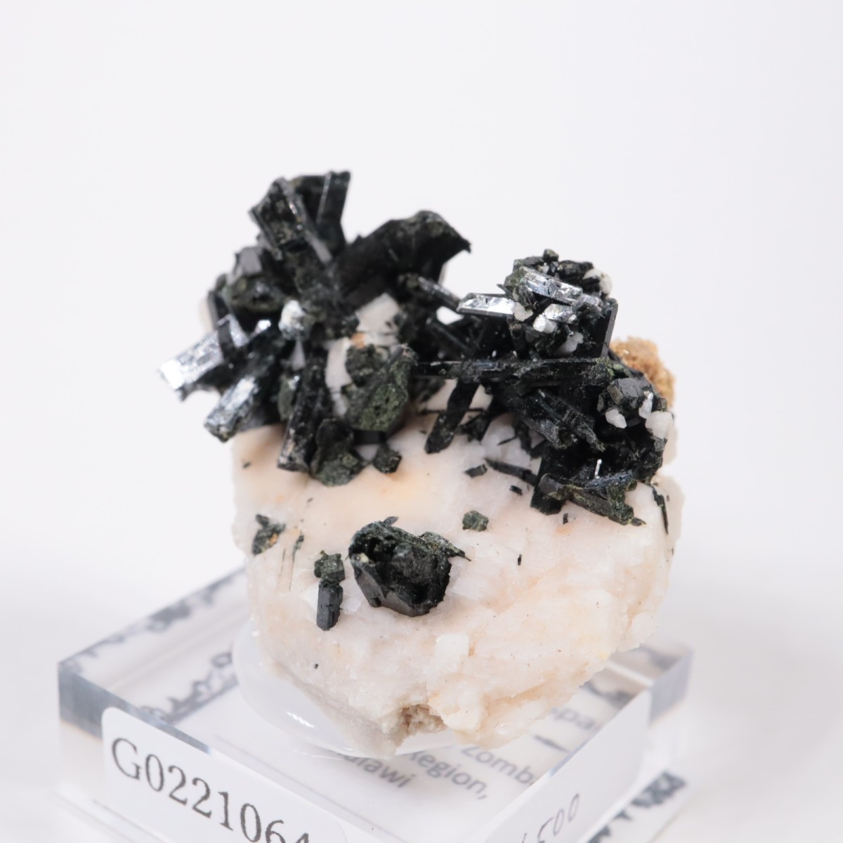 �ޥ饦���� ��������С�Ĺ��