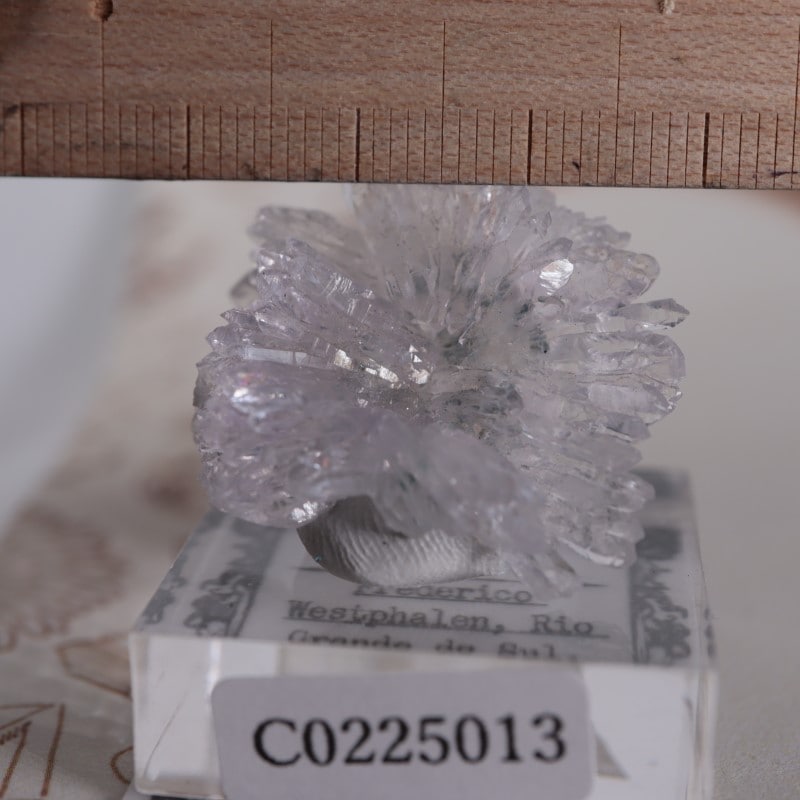フラワークォーツ | 鉱物標本,カ行,クォーツ/水晶 | ほたるみ