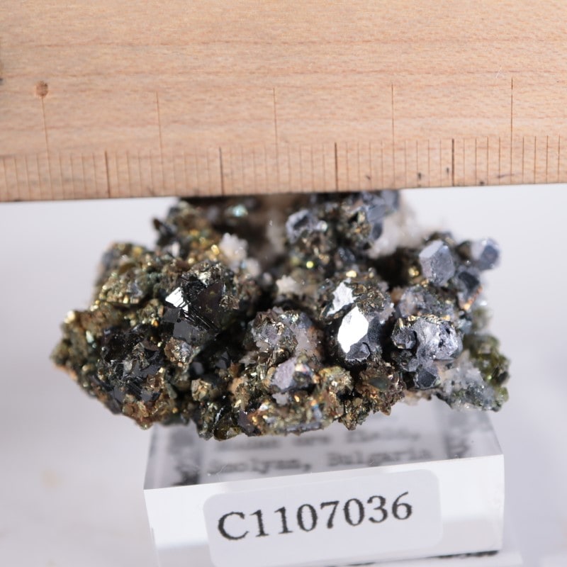 ブルガリア産 パイライト 黄鉄鉱 鉱物標本 ブルガリア産 パイライト | 鉱物標本,ハ行,パイライト/黄鉄鉱