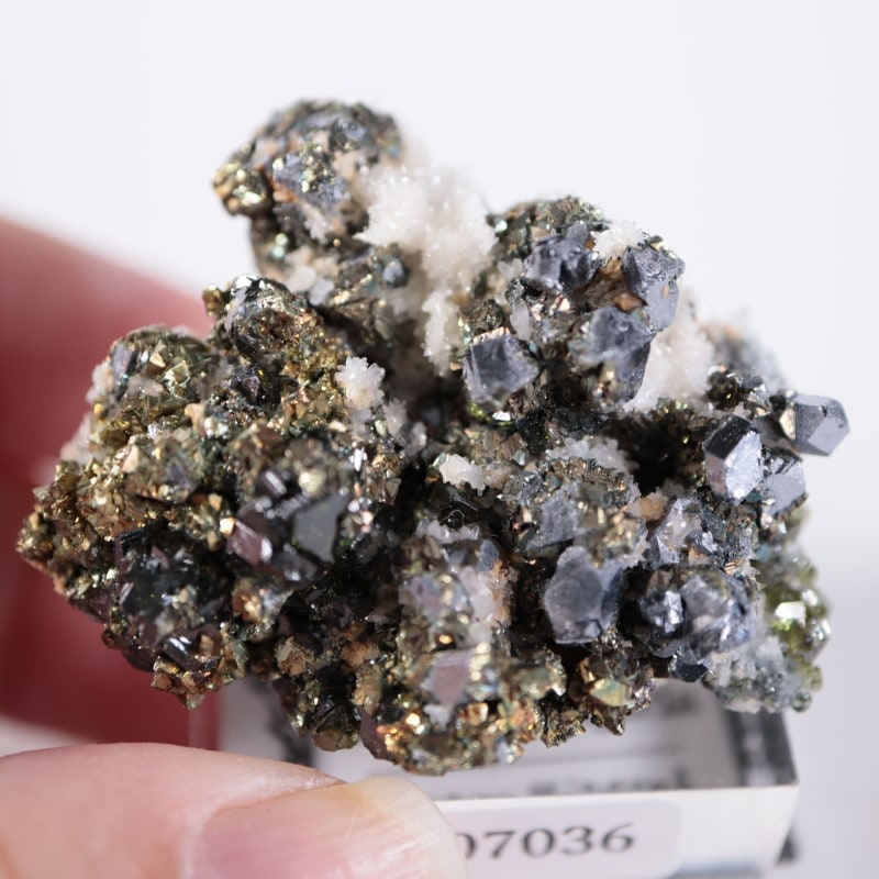 ブルガリア産 パイライト、ガレナ | 鉱物標本,ハ行,パイライト