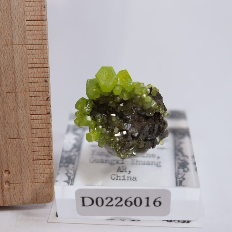 中国・広西産 パイロモルファイト（Pyromorphite）結晶標本｜鮮緑色 中国産 パイロモルファイト | 鉱物標本,ハ行,パイロモルファイト/緑鉛
