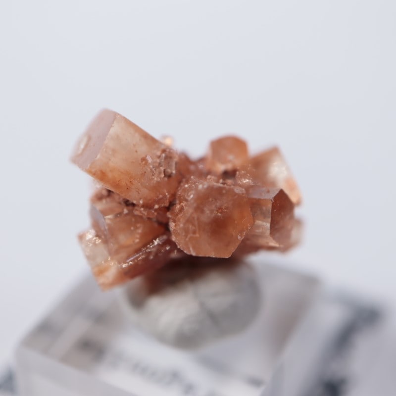 no.0349 収穫祭のアラゴナイト