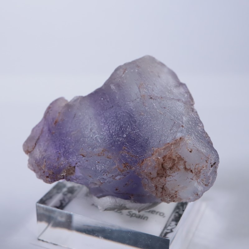 La Viesca�����ե����饤��