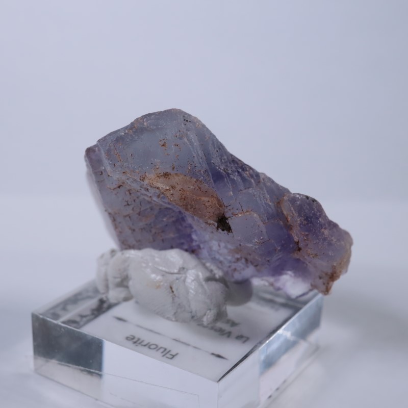 La Viesca�����ե����饤��