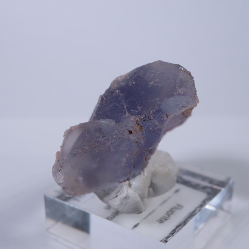 La Viesca�����ե����饤��