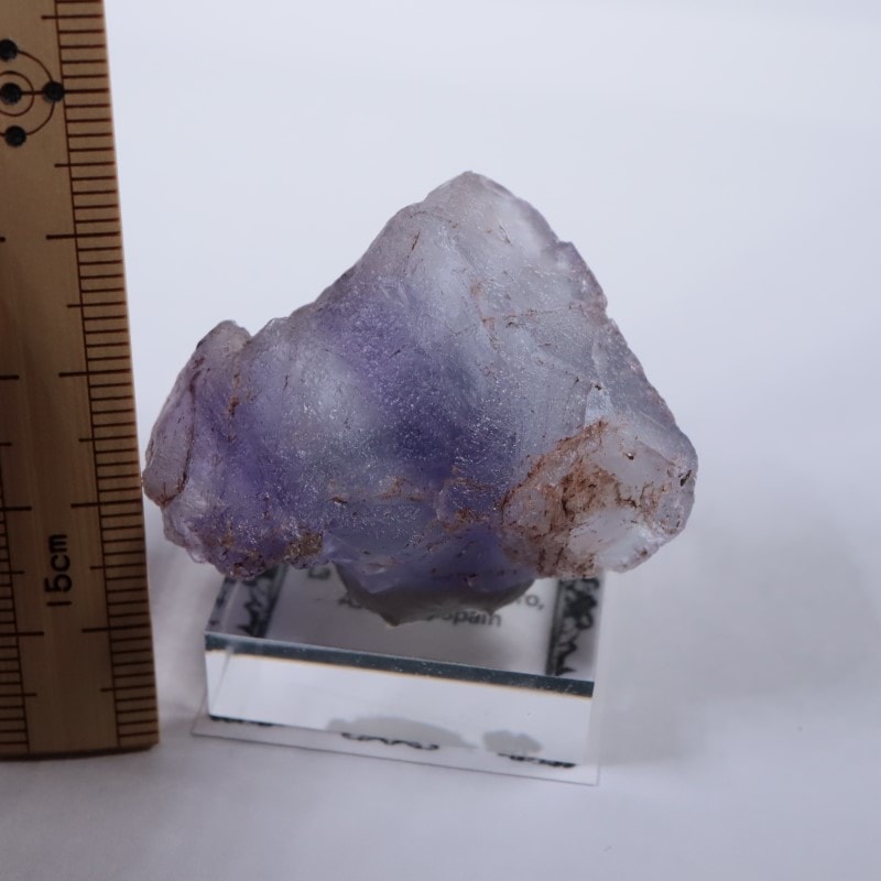 La Viesca�����ե����饤��