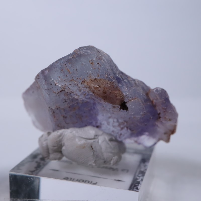 La Viesca�����ե����饤��