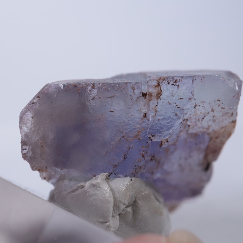 La Viesca�����ե����饤��