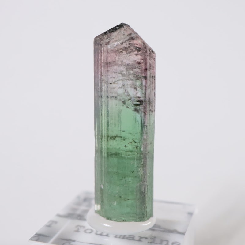 Cruzeiro�ۻ����ȥ�ޥ��