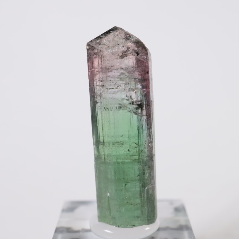 Cruzeiro�ۻ����ȥ�ޥ��