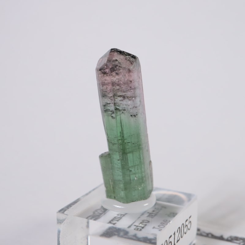 Cruzeiro�ۻ����ȥ�ޥ��