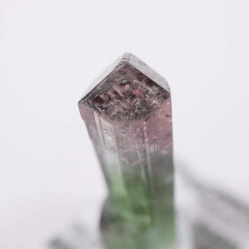 Cruzeiro�ۻ����ȥ�ޥ��