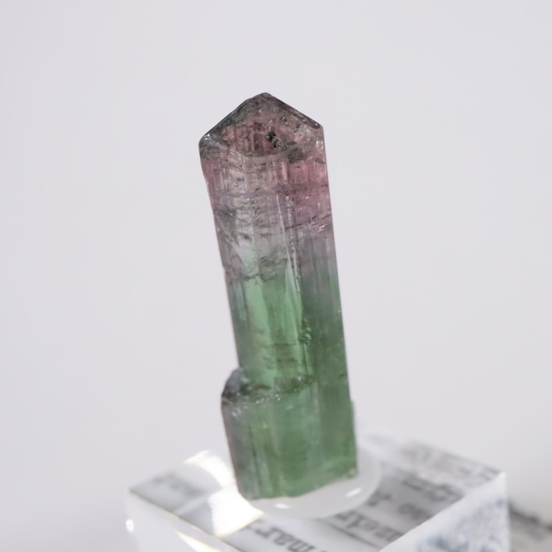 Cruzeiro�ۻ����ȥ�ޥ��