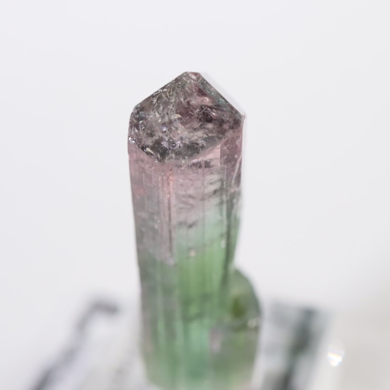 Cruzeiro�ۻ����ȥ�ޥ��