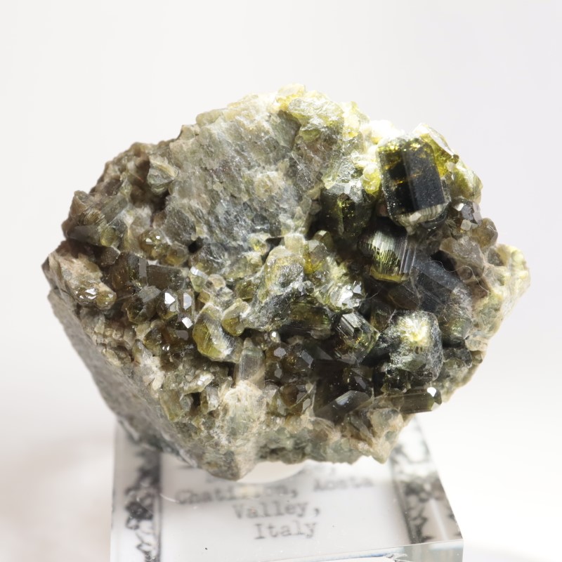 �����ꥢ�� �٥��ӥ��ʥ���