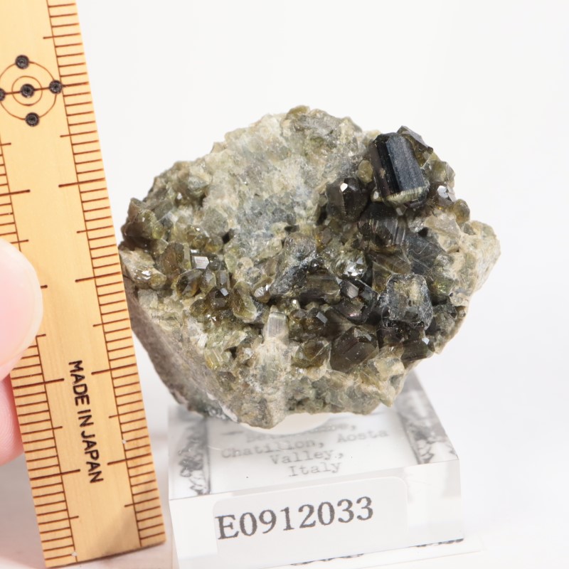 �����ꥢ�� �٥��ӥ��ʥ���