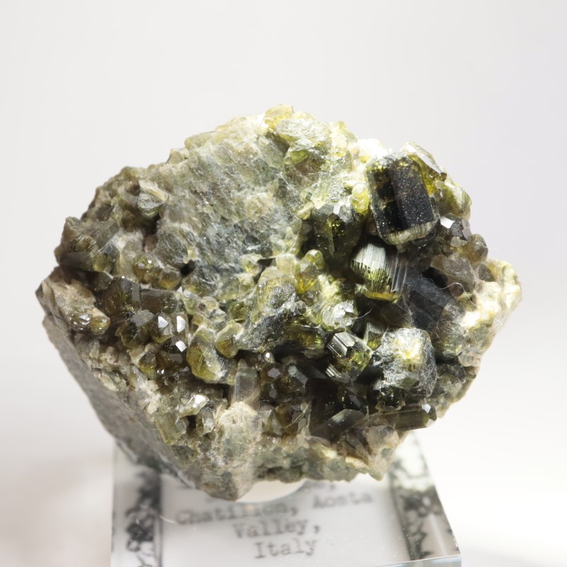 �����ꥢ�� �٥��ӥ��ʥ���