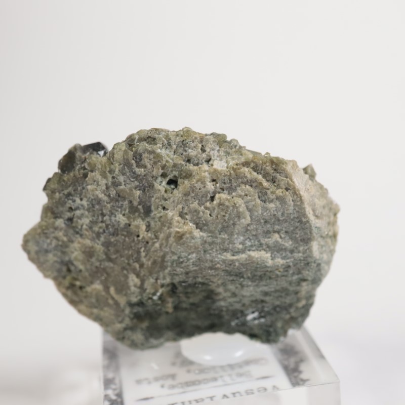 �����ꥢ�� �٥��ӥ��ʥ���