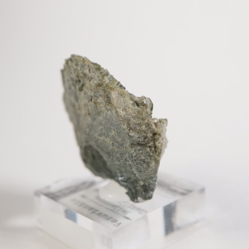 �����ꥢ�� �٥��ӥ��ʥ���