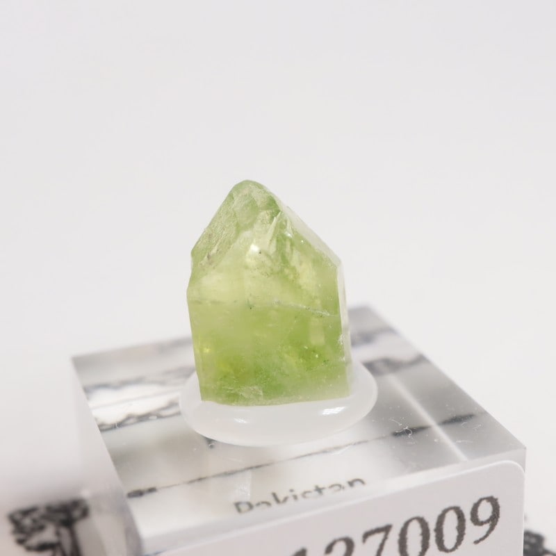 �ѥ������� �ڥ�ɥå�