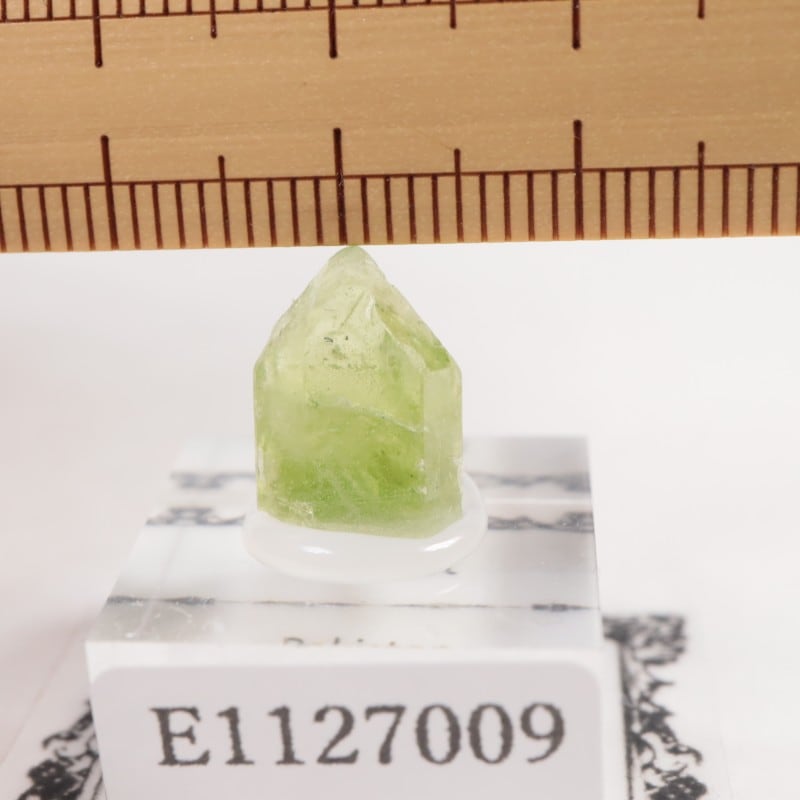 �ѥ������� �ڥ�ɥå�