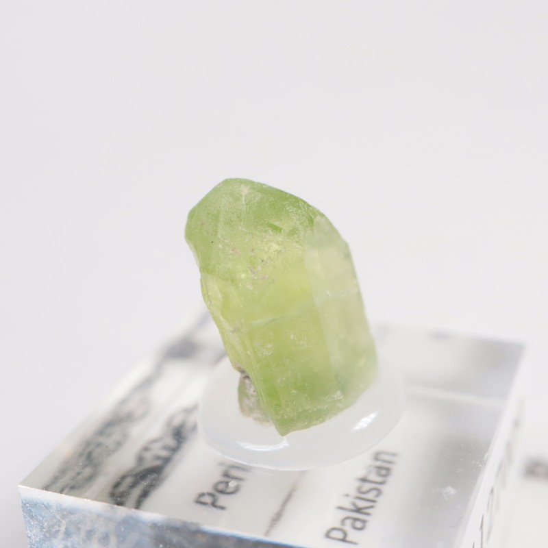 �ѥ������� �ڥ�ɥå�