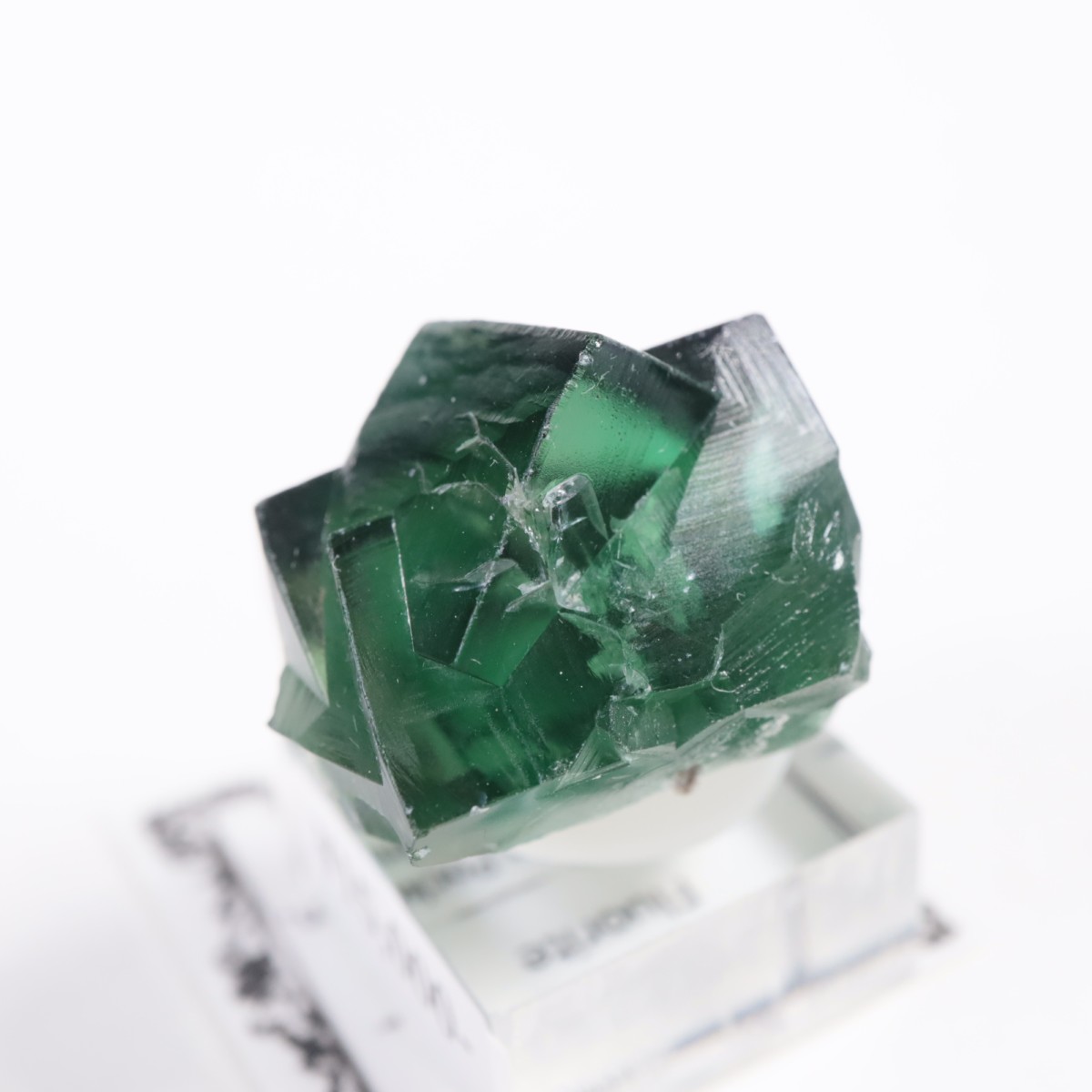 Greedy Hog Pocket �ե����饤��