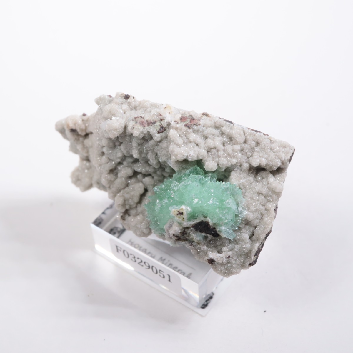 ����ɻ� ���ݥե��饤��