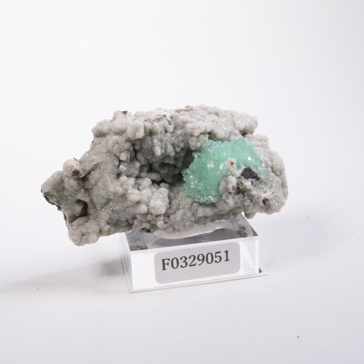 ����ɻ� ���ݥե��饤��