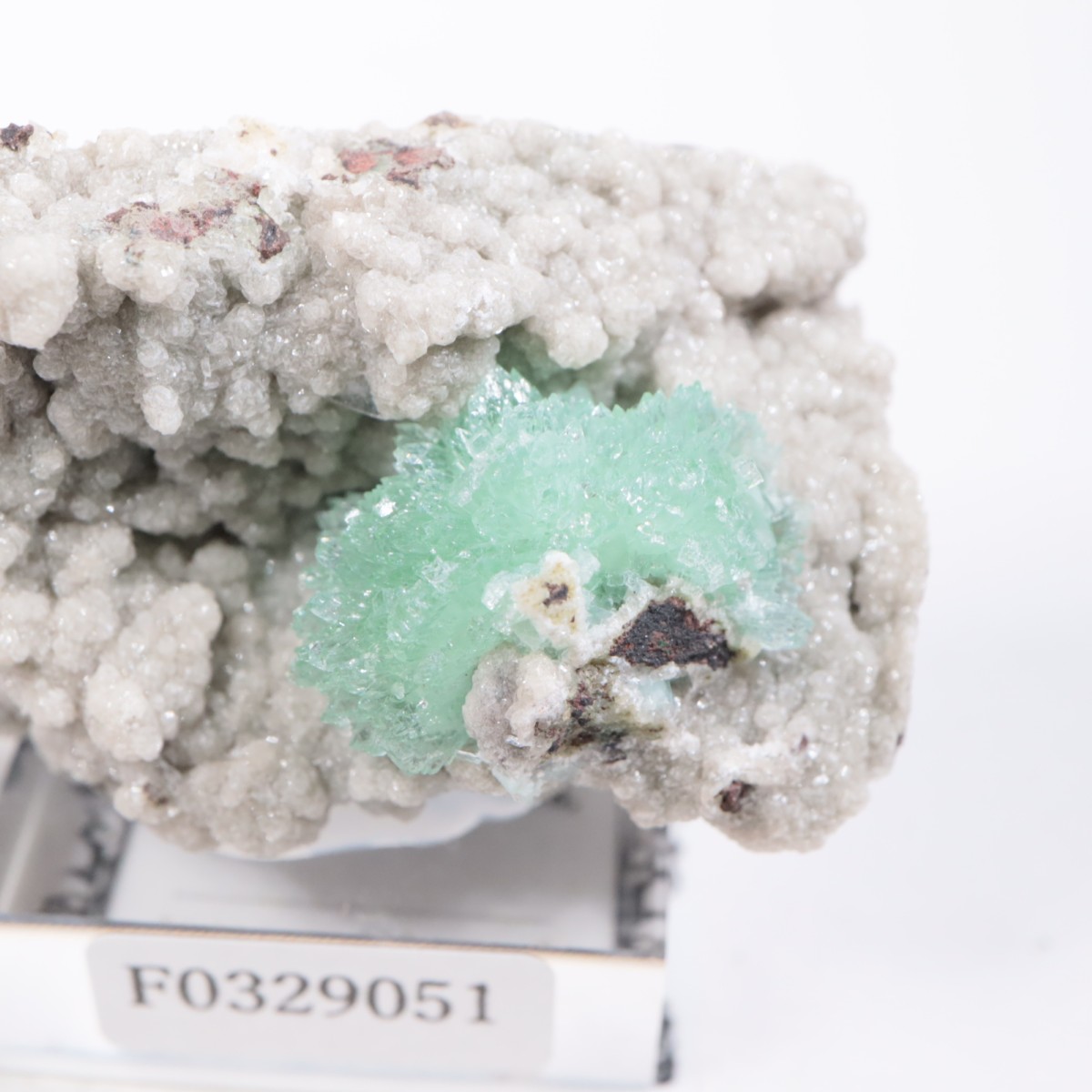 ����ɻ� ���ݥե��饤��