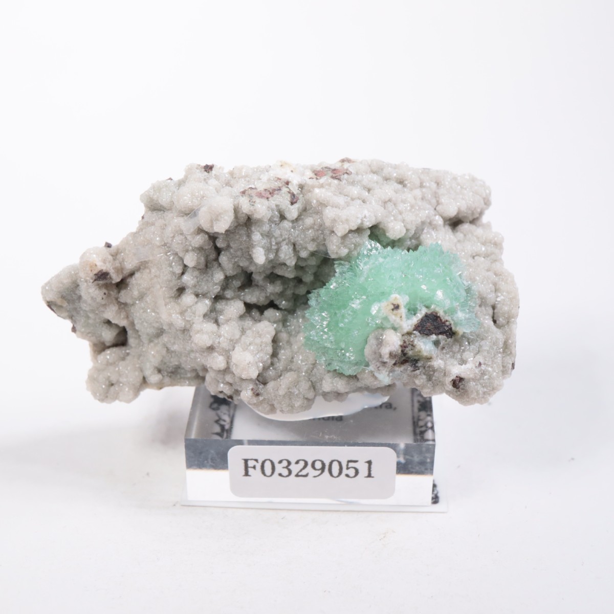 ����ɻ� ���ݥե��饤��