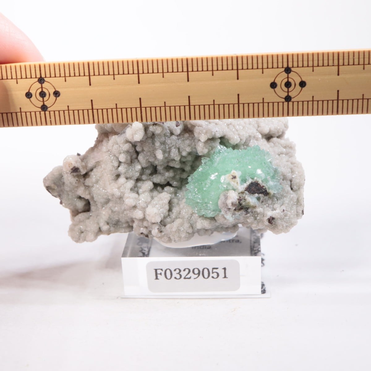 ����ɻ� ���ݥե��饤��