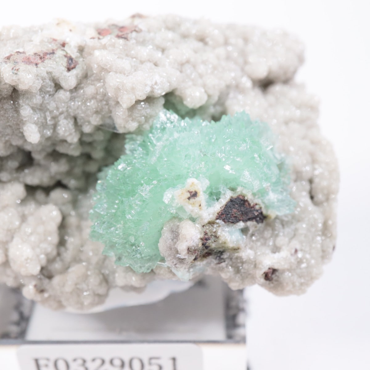 ����ɻ� ���ݥե��饤��