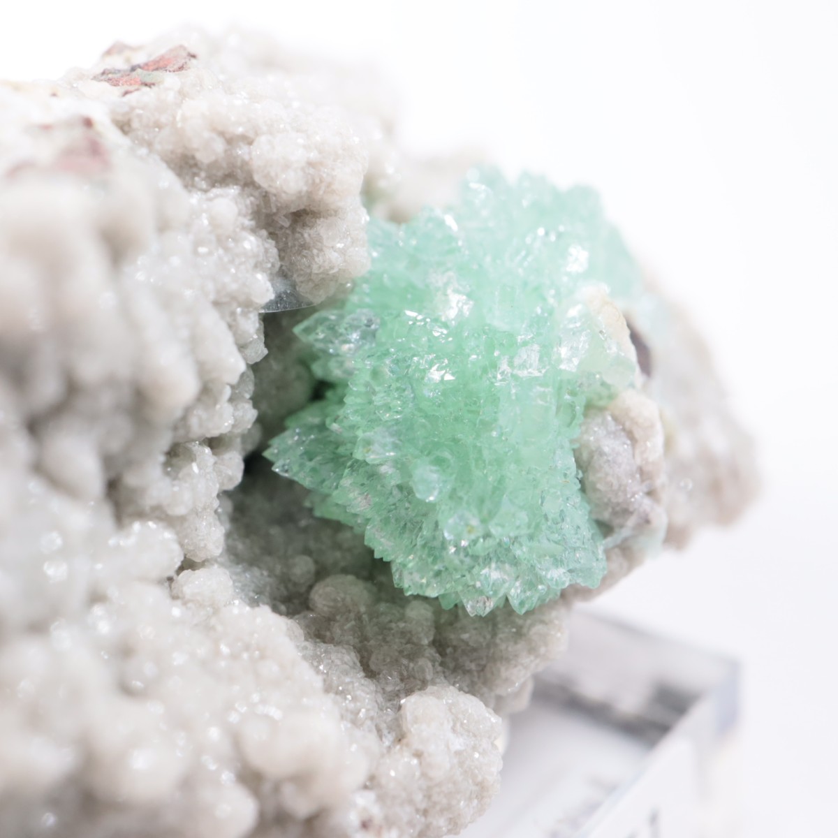 ����ɻ� ���ݥե��饤��