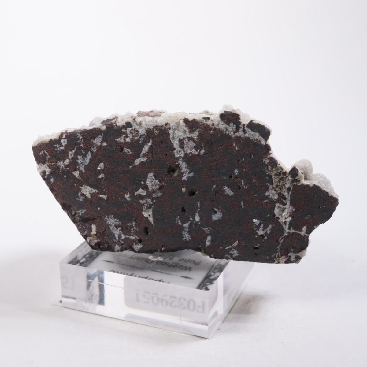 ����ɻ� ���ݥե��饤��