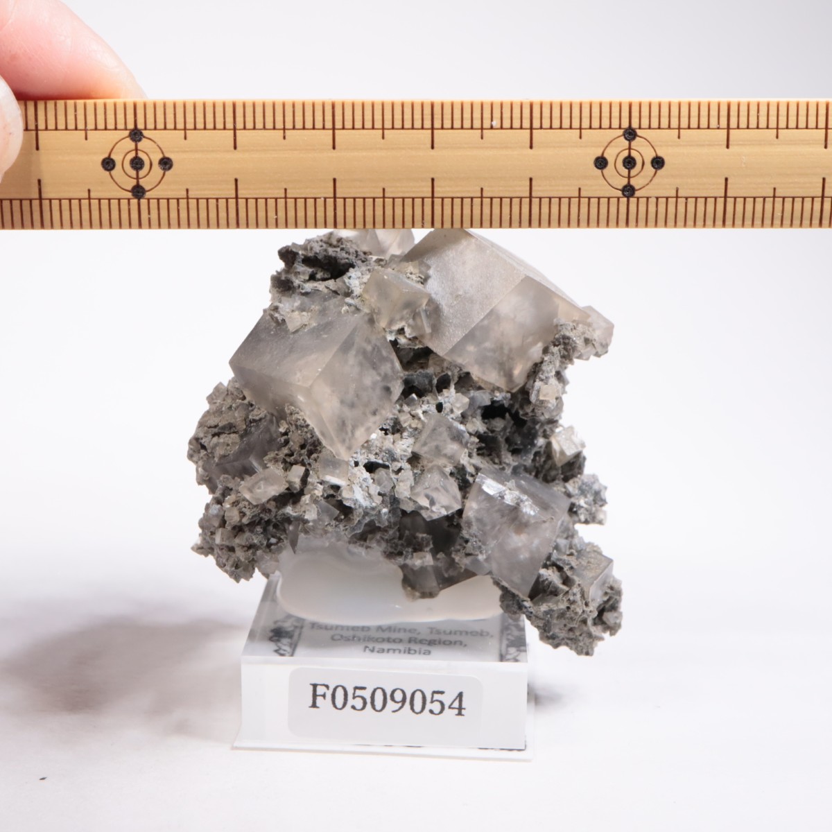 ツメブ鉱山産 カルサイト | 鉱物標本,カ行,カルサイト/方解石 | ほたる