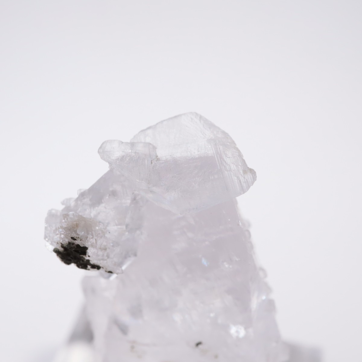 ����ͥ��륹���� ���륵����