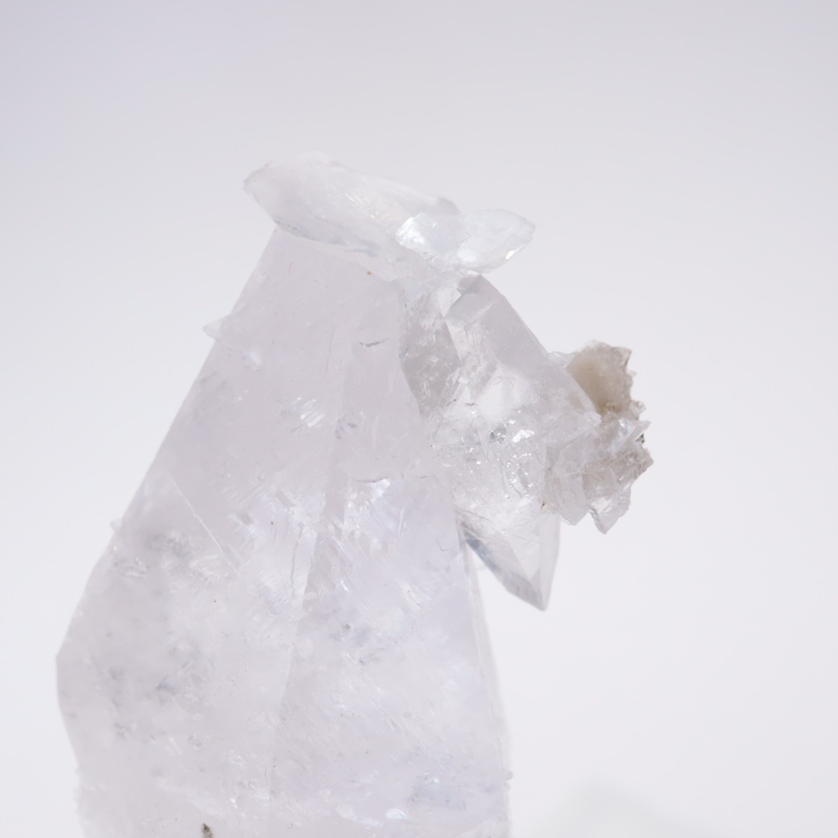 ����ͥ��륹���� ���륵����